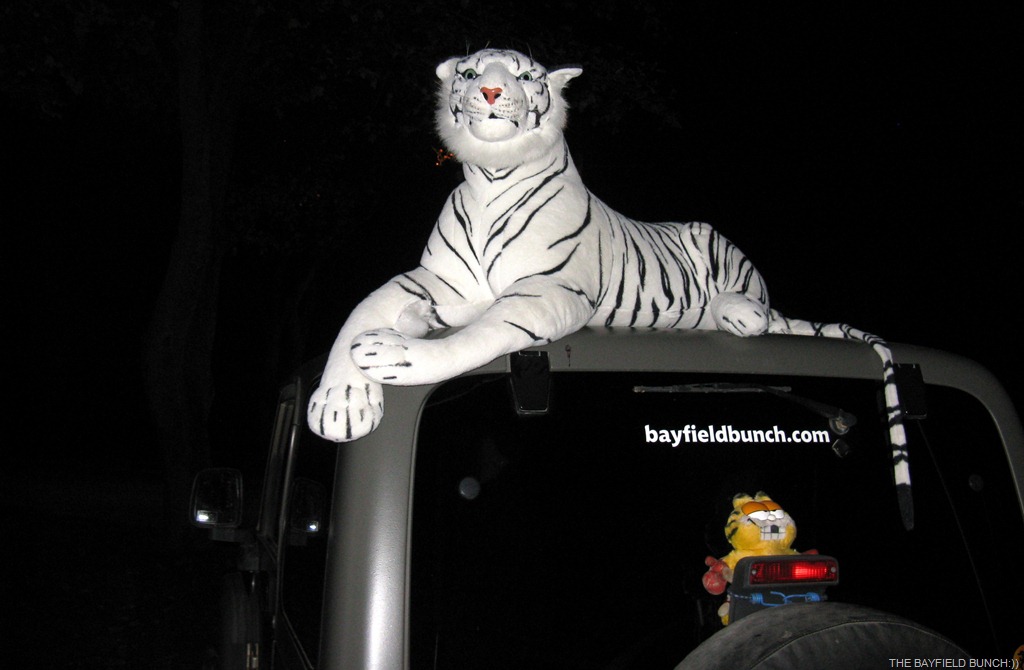 [IMG_3333%255B3%255D.jpg]