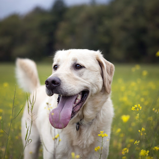 Hd-180673-ascw180673