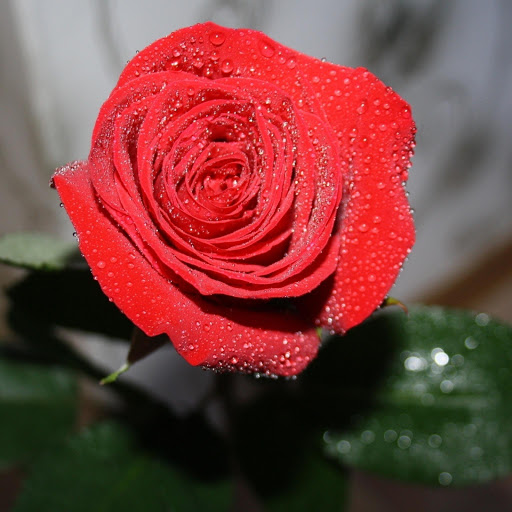 Hd-177290-ascw177290