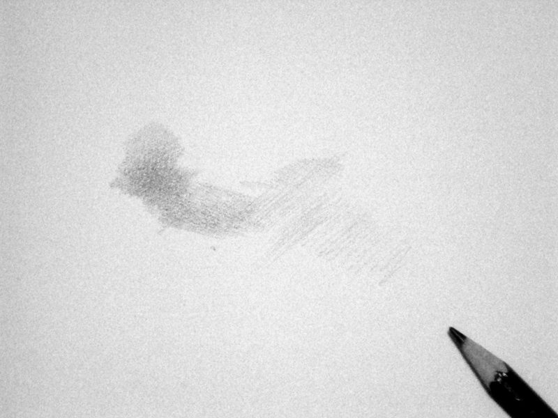 How to Draw a face; How to Draw a Portrait; How To Shade with a Pencil