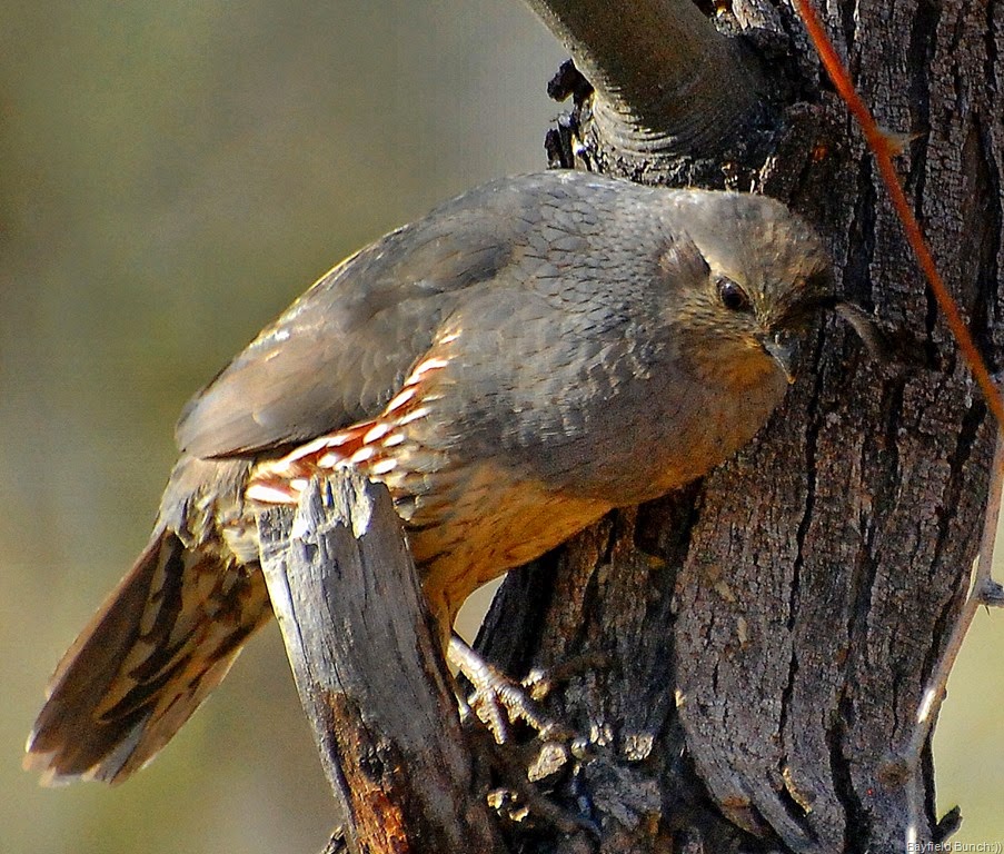 [DSC_2786%255B8%255D.jpg]