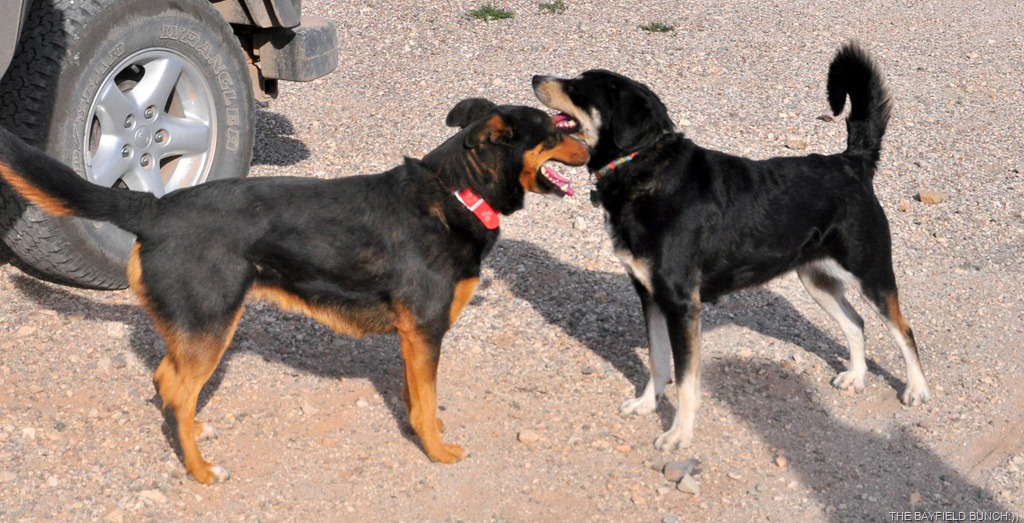 [DSC_0030%255B4%255D.jpg]