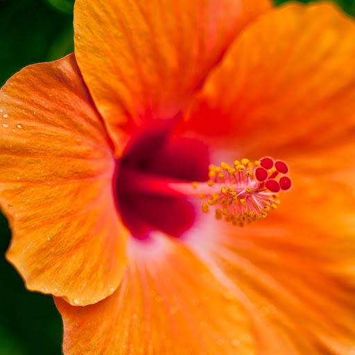 Hd-156573-ascw156573