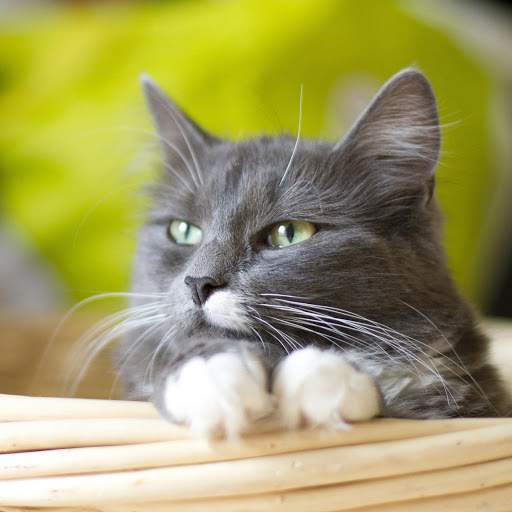 Hd-162358-ascw162358