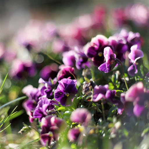 Hd-134840-ascw134840