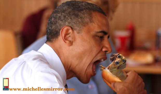 [bo%2520weiner%2520dog%2520copy%255B4%255D.jpg]