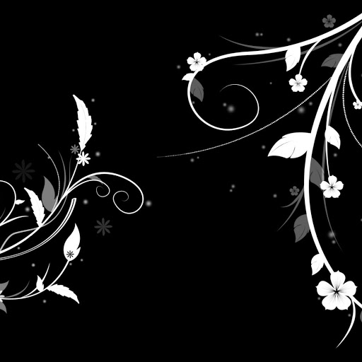 Hd-146714-ascw146714