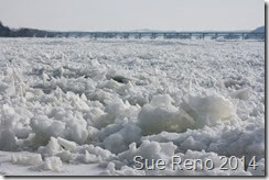 Ice on the Susquehanna River, 2/2014, by Sue Reno, Image 8