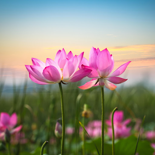 Hd-190553-ascw190553