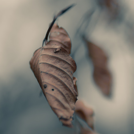 Hd-157446-ascw157446