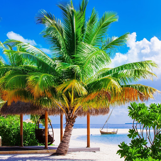 Hd-149133-ascw149133