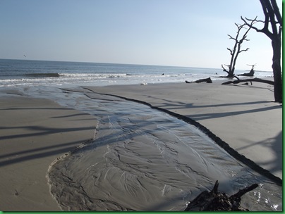 Ocean front walk 129