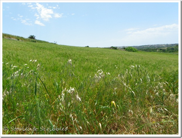 Dwejra, Nadur &  Mdina (1)