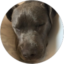 Lincoln Djang profile picture