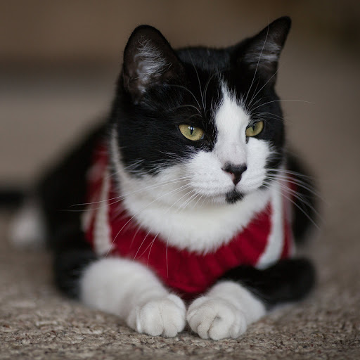 Hd-157528-ascw157528