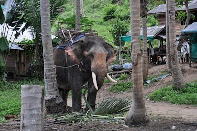 DSC_0688.JPG