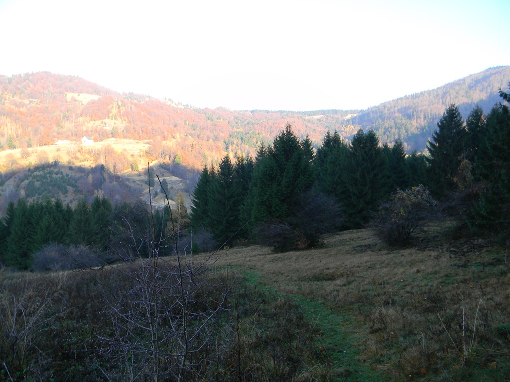 [DSCN05823.jpg]