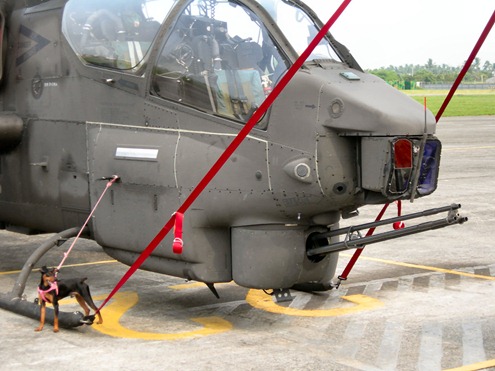 Super-Cobra-Helicopter-Gunship-Hi-Tech-Security-01