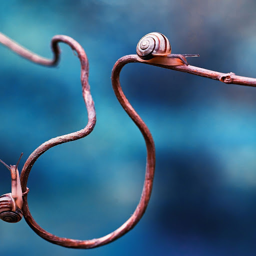 Hd-164930-ascw164930