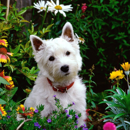 Hd-182634-ascw182634