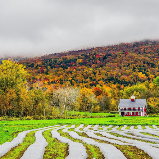 Hd-154126-ascw154126