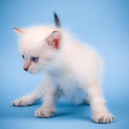 Hd-148483-ascw148483