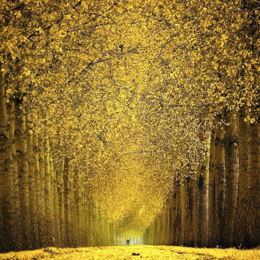 Hd-152057-ascw152057