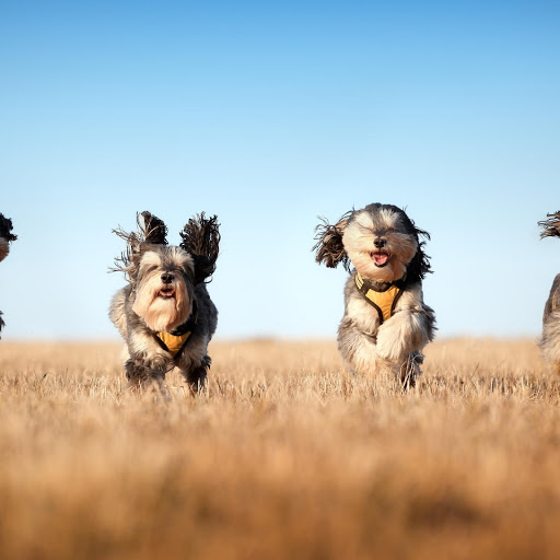 Hd-131804-ascw131804