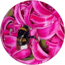 Image Google de Marie anne Daulon
