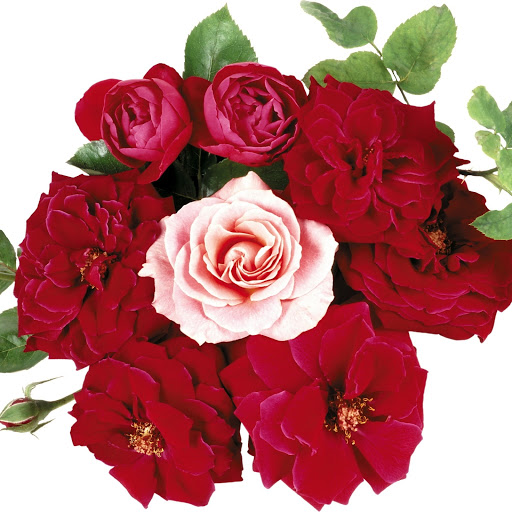 Hd-149193-ascw149193