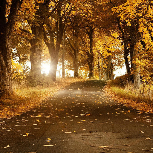 Hd-161104-ascw161104