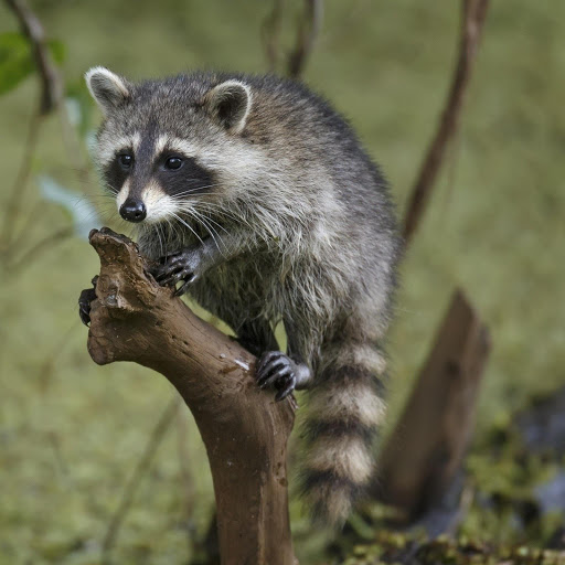 Hd-162540-ascw162540