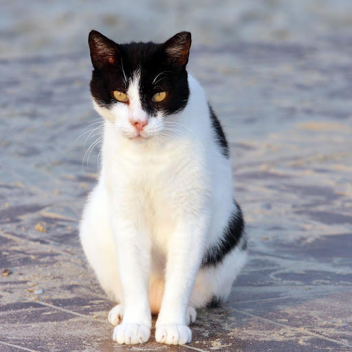 Hd-178249-ascw178249