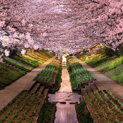 Hd-142613-ascw142613