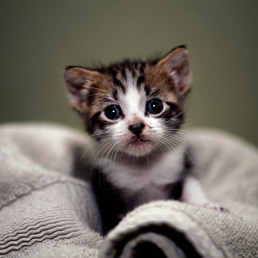 Hd-166904-ascw166904