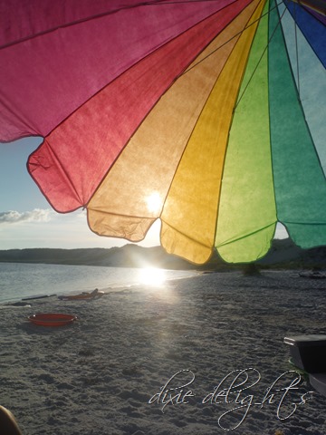 [July20133532.jpg]
