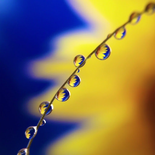 Hd-147014-ascw147014