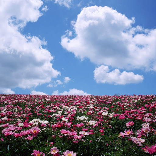 Hd-158269-ascw158269