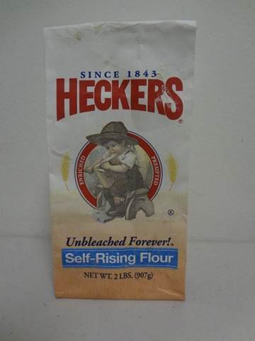 [botselfrising3.jpg]