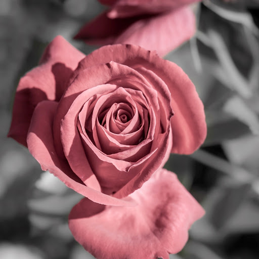 Hd-143870-ascw143870