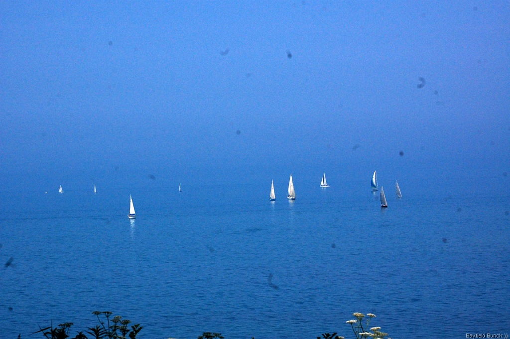 [DSC_4014%255B3%255D.jpg]