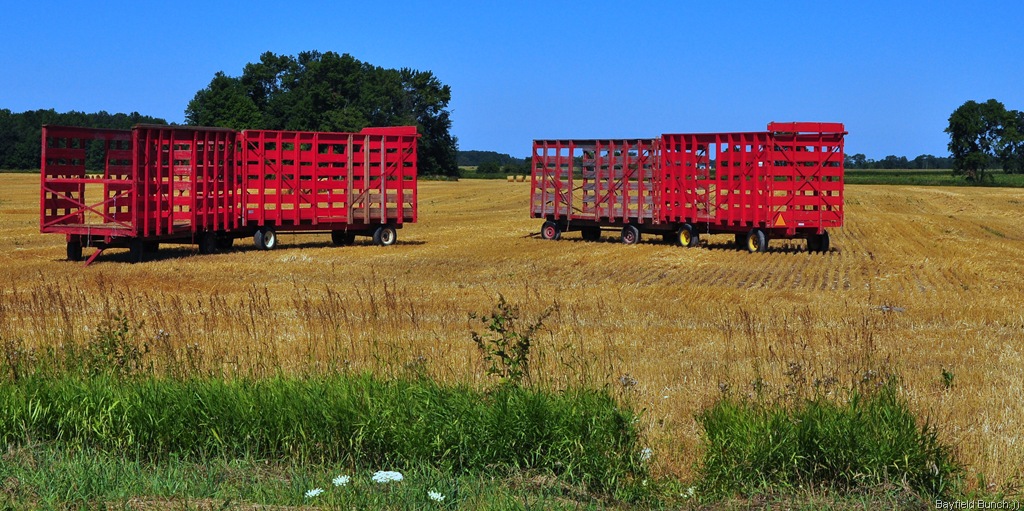 [DSC_0007%255B3%255D.jpg]