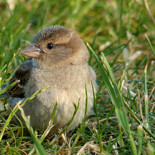 Hd-179014-ascw179014