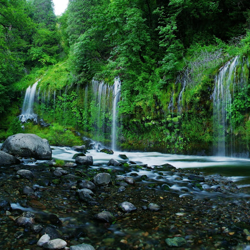 Hd-141186-ascw141186