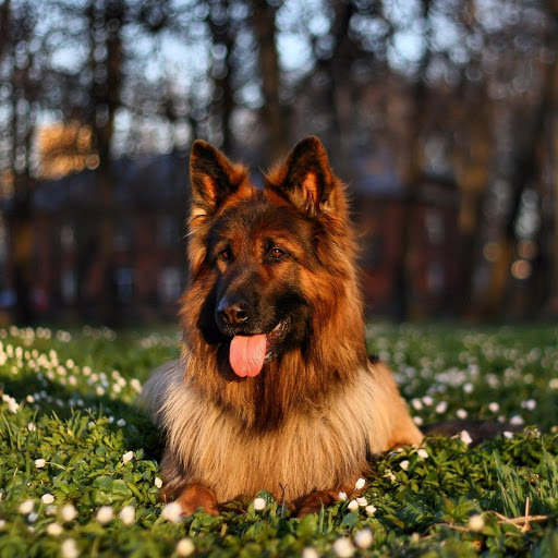 Hd-134665-ascw134665