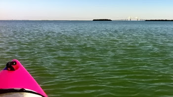 kayaking in Tampa Bay