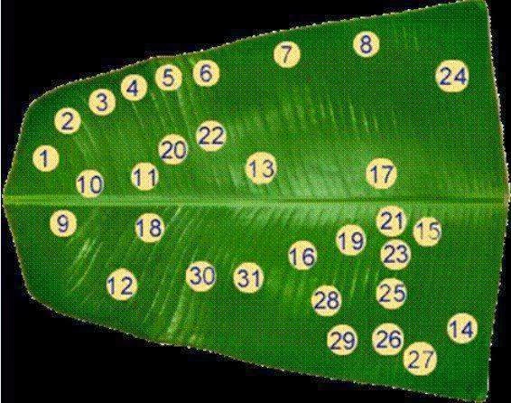 1517443_249596611865061_614134576_n.jpg