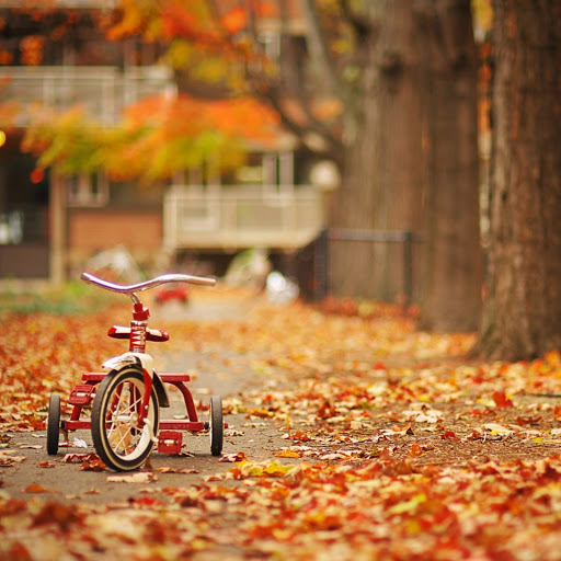 Hd-159075-ascw159075