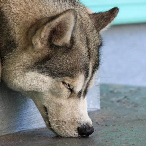 Hd-181102-ascw181102