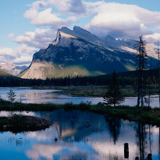 Hd-137000-ascw137000